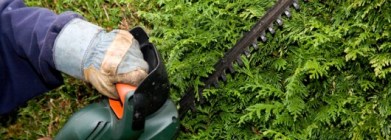 iStock_000002722997Small-530x190